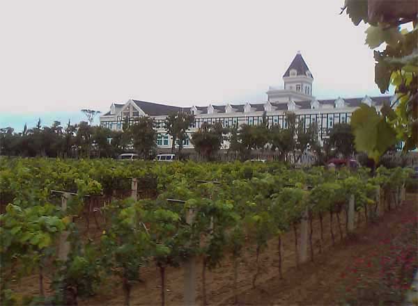 20111101-Wikicommons wine Chateau Changyu.jpg